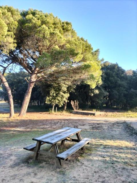 Les Salines Boyardville - Appart'Hotel Saint-Pierre-d'Oleron Dış mekan fotoğraf