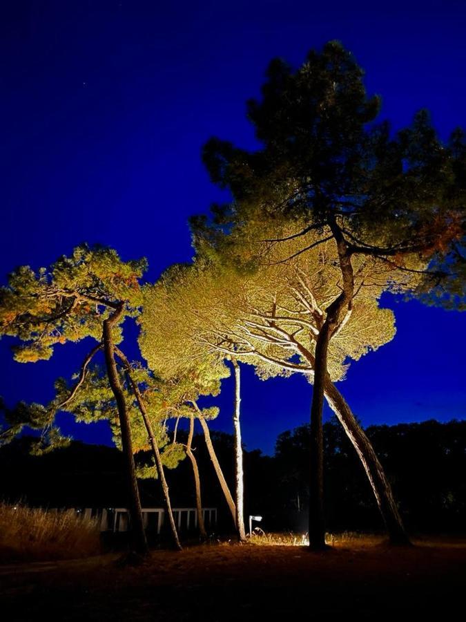 Les Salines Boyardville - Appart'Hotel Saint-Pierre-d'Oleron Dış mekan fotoğraf