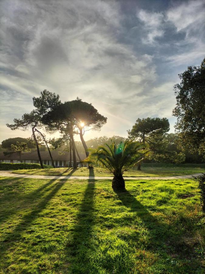 Les Salines Boyardville - Appart'Hotel Saint-Pierre-d'Oleron Dış mekan fotoğraf