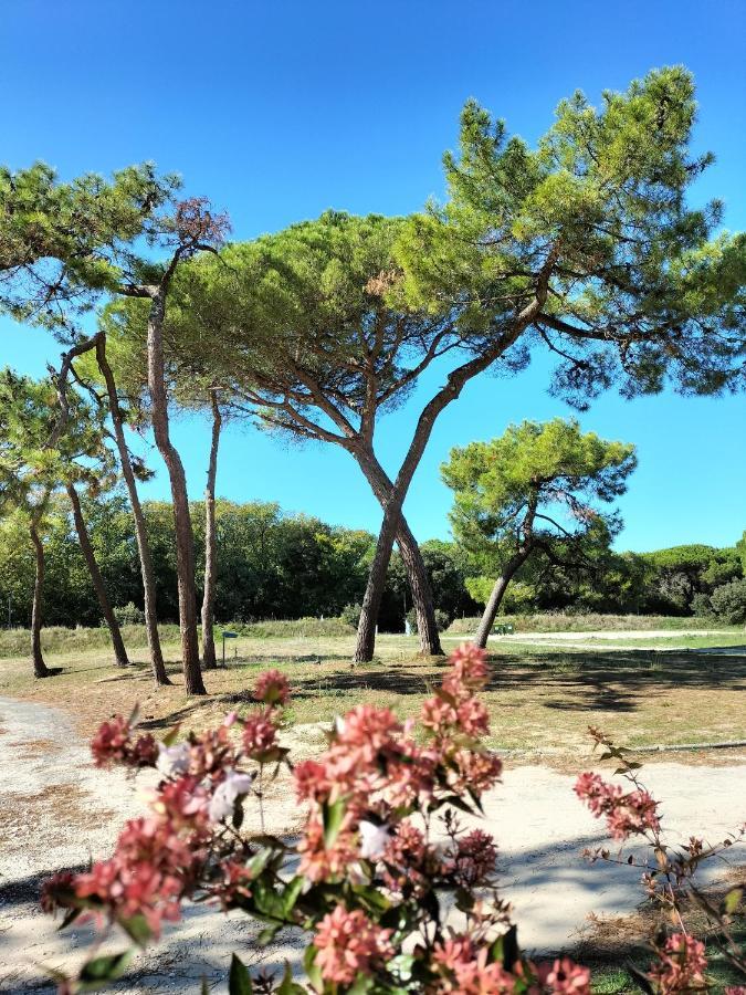 Les Salines Boyardville - Appart'Hotel Saint-Pierre-d'Oleron Dış mekan fotoğraf